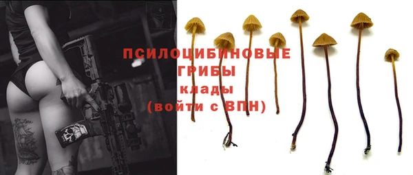 мет Горнозаводск
