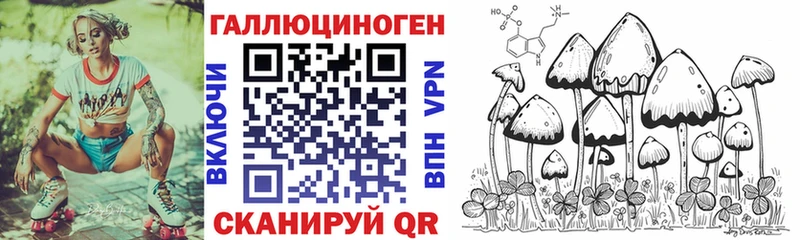 Галлюциногенные грибы мицелий  Купить закладки  Новозыбков 